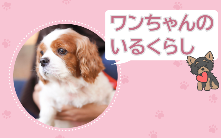 ワンちゃんのいるくらし